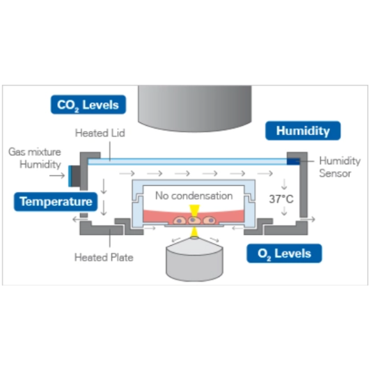 No condensation in ibidi Top Stage Incubator