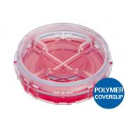 µ-Dish 35 mm Quad, polimerno dno