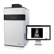 NEWTON 7.0 FT-900 NIR-II in vivo imaging