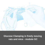 Tečaj ispitivanja osjetljivosti na glukozu kod štakora i miševa koji se slobodno kreću - modul GC