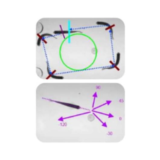 ZebraLab_rotation-histogram