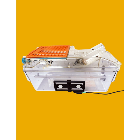 ANYCAGE-LITE-WEBSITE-GRAPHICS-7-796x1030