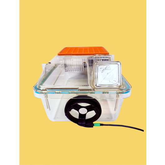 ANYCAGE-LITE-WEBSITE-GRAPHICS-5-796x1030